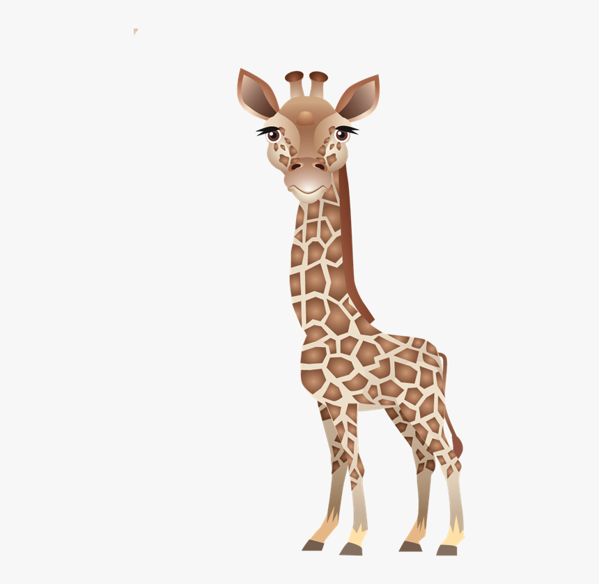 Clip Art Leopard About Giraffes Northern - Giraffe, HD Png Download, Free Download