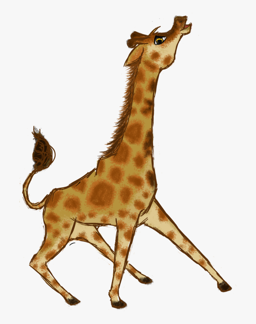 Giraffe , Png Download - Giraffe, Transparent Png, Free Download
