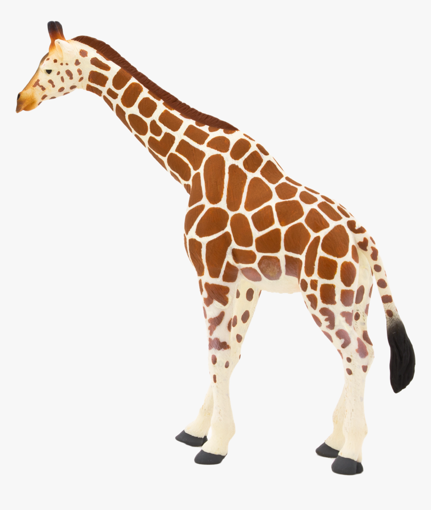 Transparent Giraffe Head Png - Animal Planet Mojo Giraffe, Png Download, Free Download