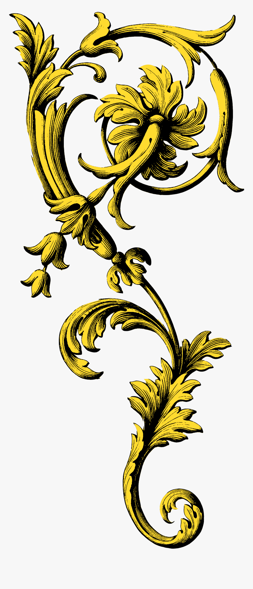 Lily Flourish , Png Download, Transparent Png, Free Download