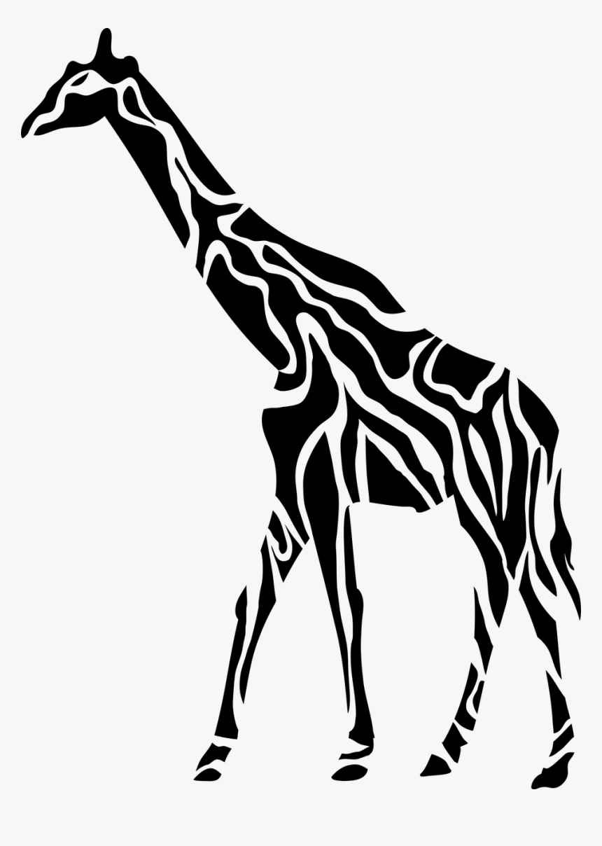 Giraffe Animal Africa Free Picture - Large Image No Background, HD Png Download, Free Download