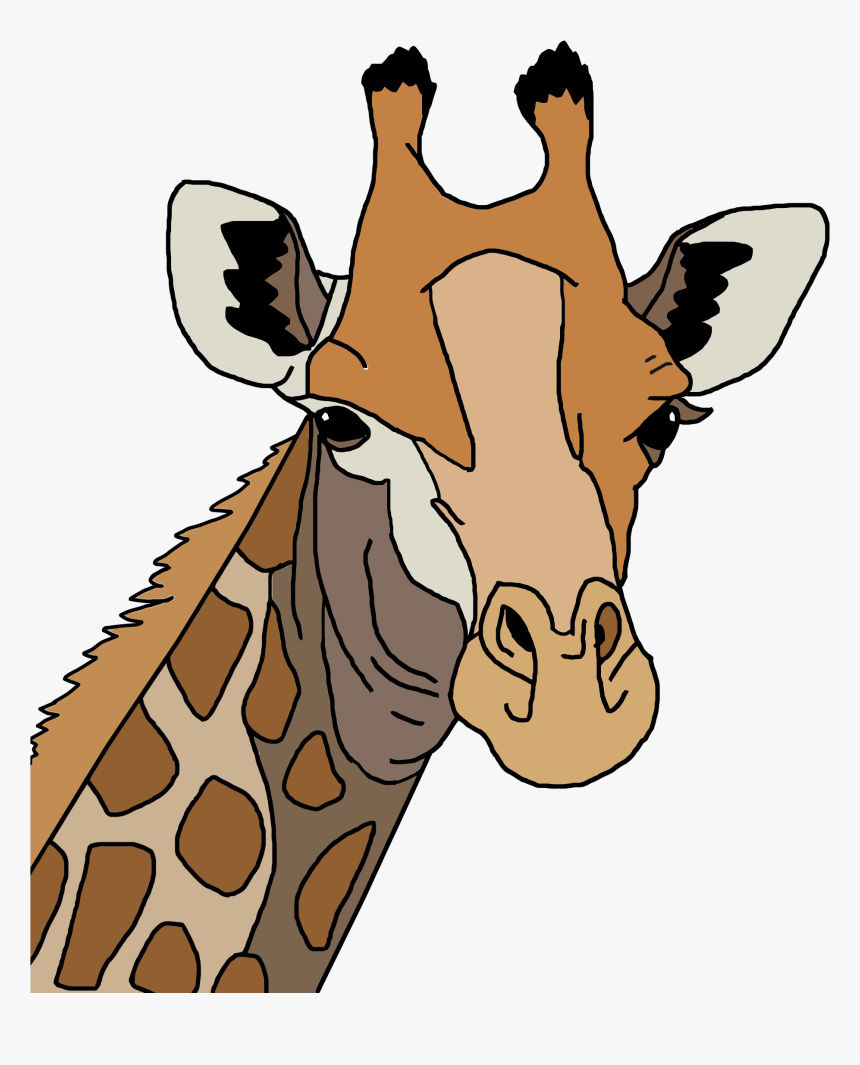 Colored Giraffe Clip Arts - Giraffe Coloring Page Head, HD Png Download, Free Download