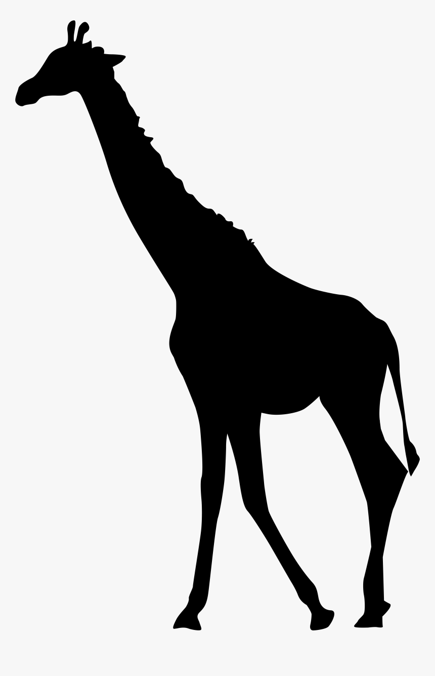 Transparent Giraffe Head Png - Giraffe Silhouette Clipart, Png Download, Free Download