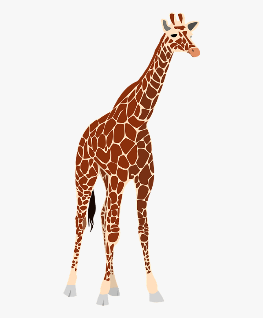 Free Png Download Giraffe Png Images Background Png - Giraffe Free Vector, Transparent Png, Free Download