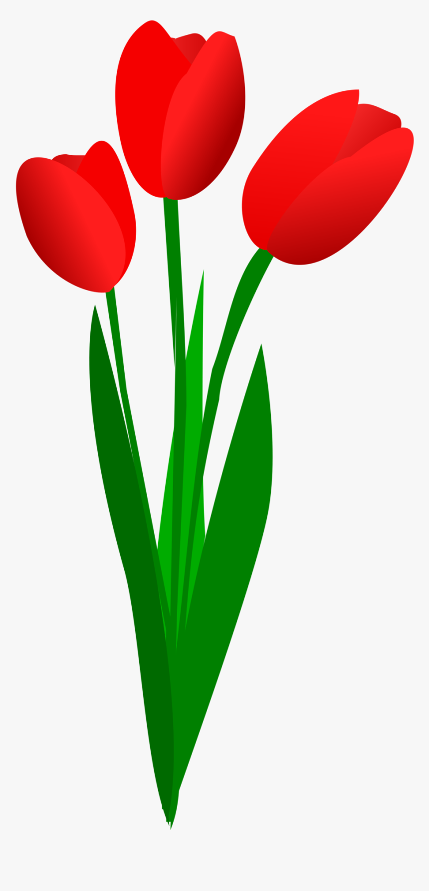 Red Tulips Clipart, HD Png Download, Free Download