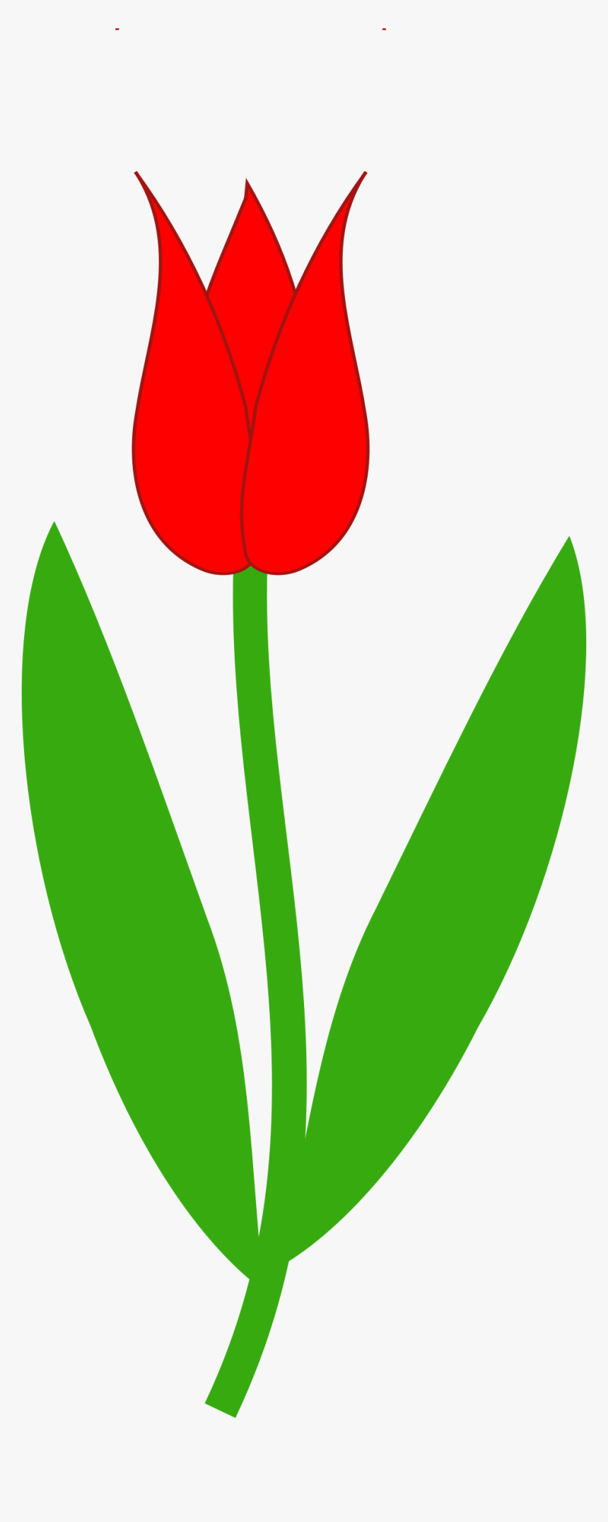 Red Tulip 555px - Tulip Flower Clipart, HD Png Download, Free Download