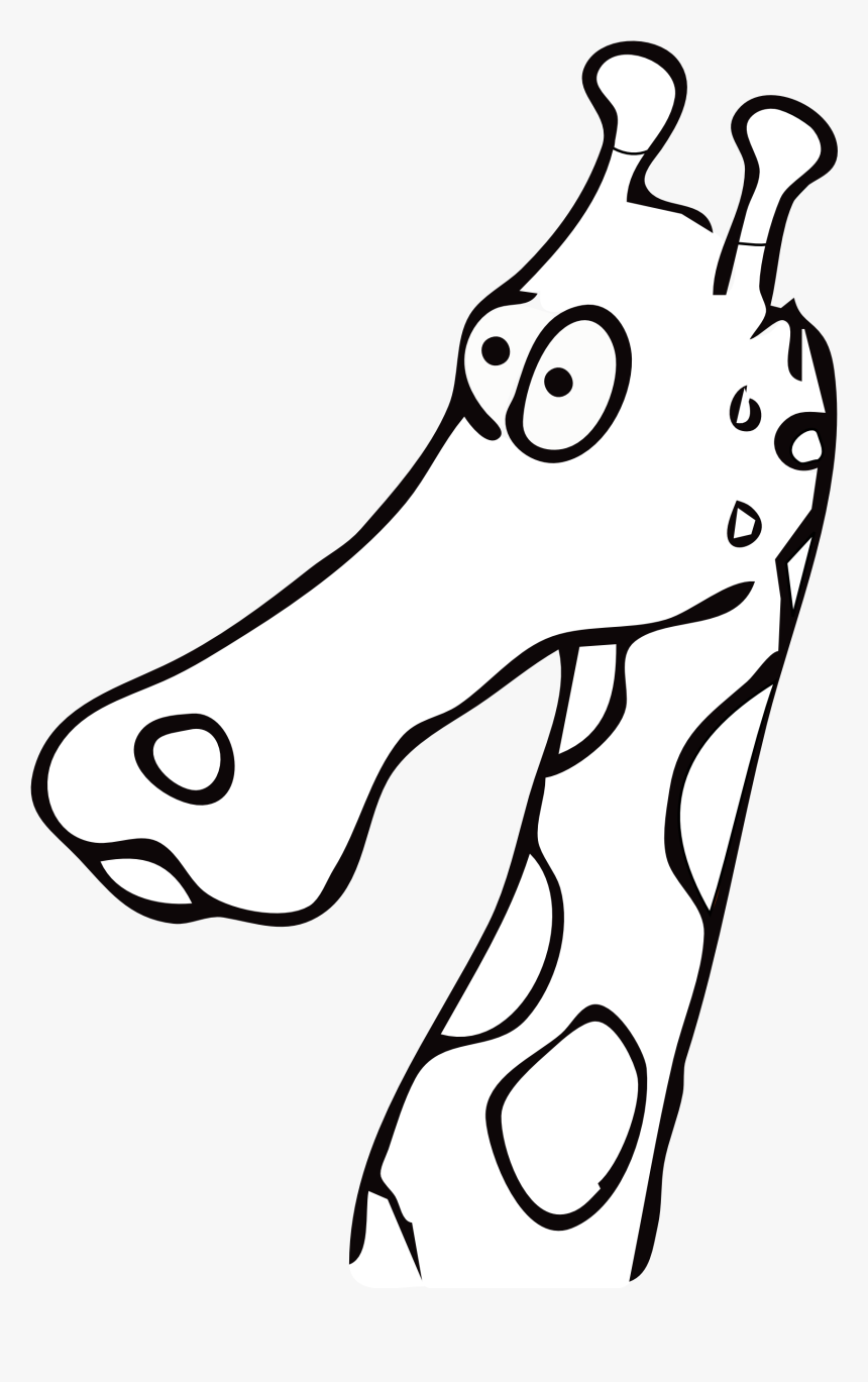 Collection Of Free Drawing Giraffes Head Download On - Giraffe Clipart Black And White, HD Png Download, Free Download