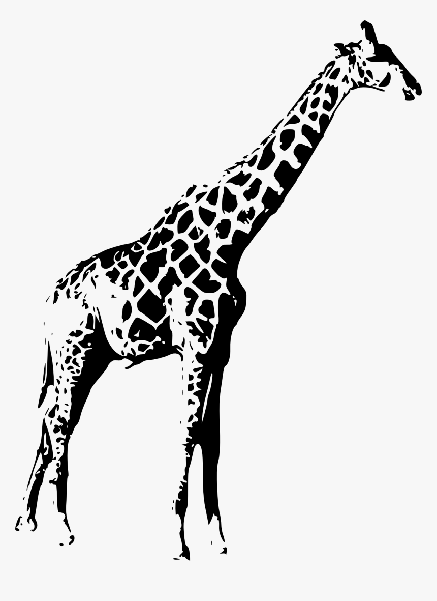 Giraffe Decal Png, Transparent Png, Free Download