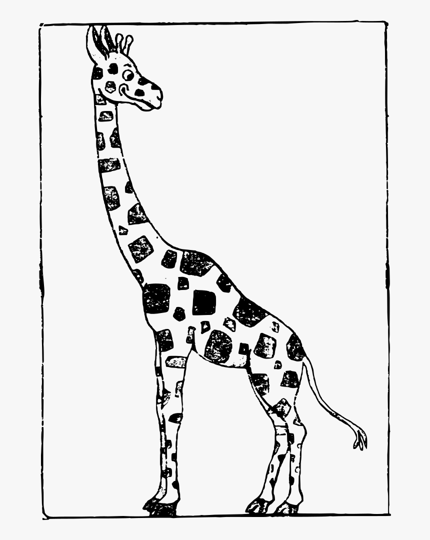Cartoon Giraffe - Cartoon Picture Of Giraffe Black And White, HD Png Download, Free Download