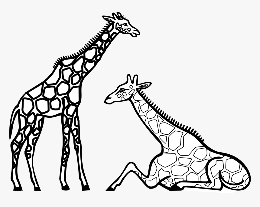 Drawn Giraffe Clip Art Black And White - Giraffes Clipart Black And White, HD Png Download, Free Download