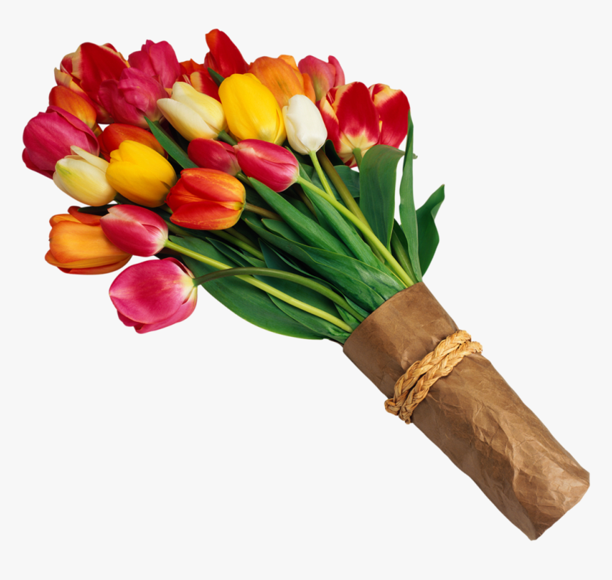 Transparent Tulips Clipart - Bunch Of Flowers Png, Png Download, Free Download