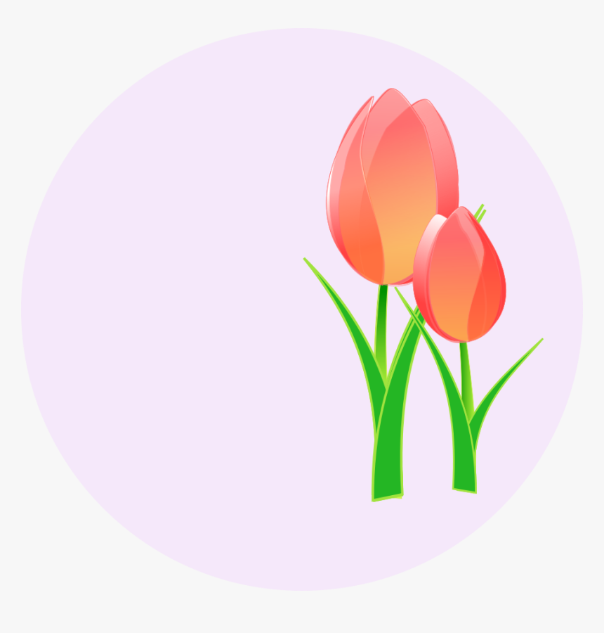 Three Red Tulips Svg Clip Arts - Mother's Day 2019 India, HD Png Download, Free Download