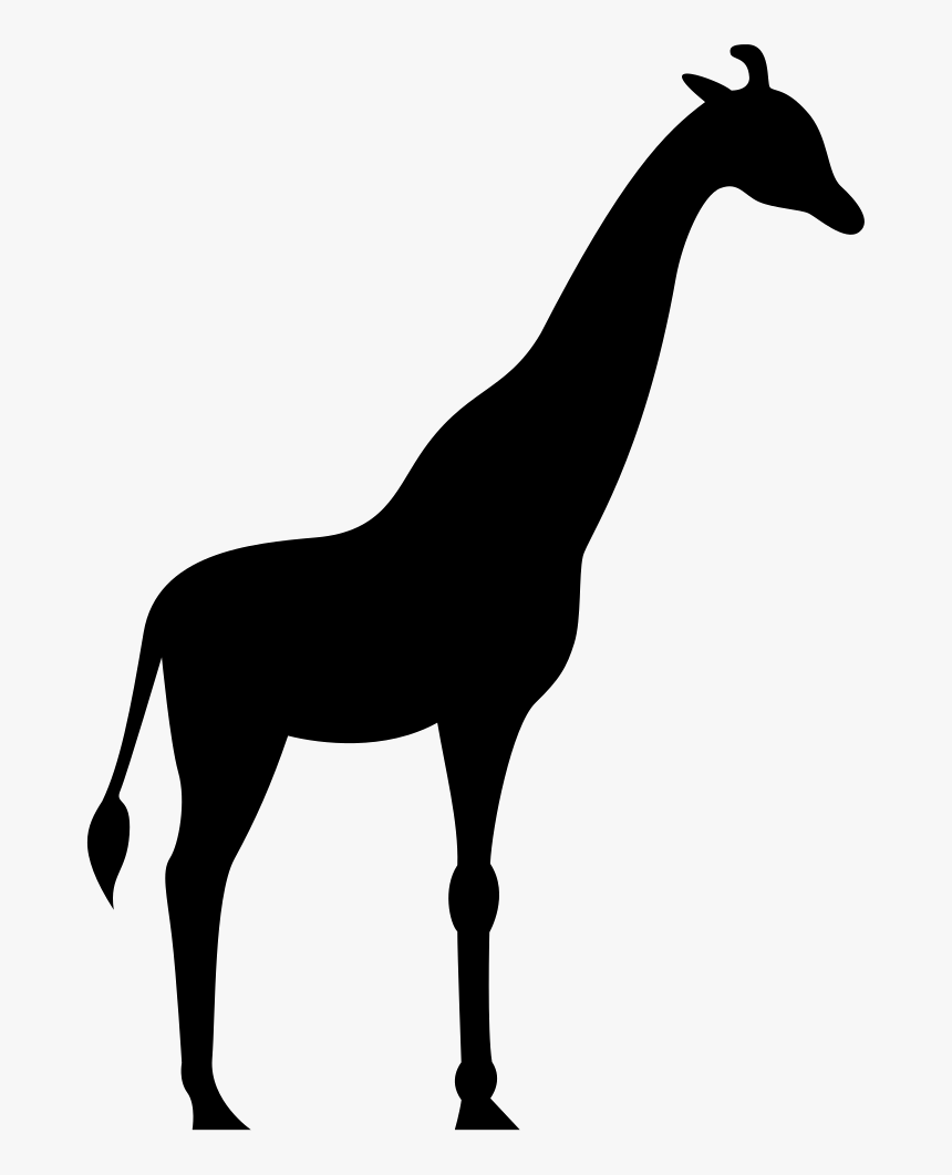 Giraffe Facing Right - Giraffe Cartoon Facing Right, HD Png Download, Free Download