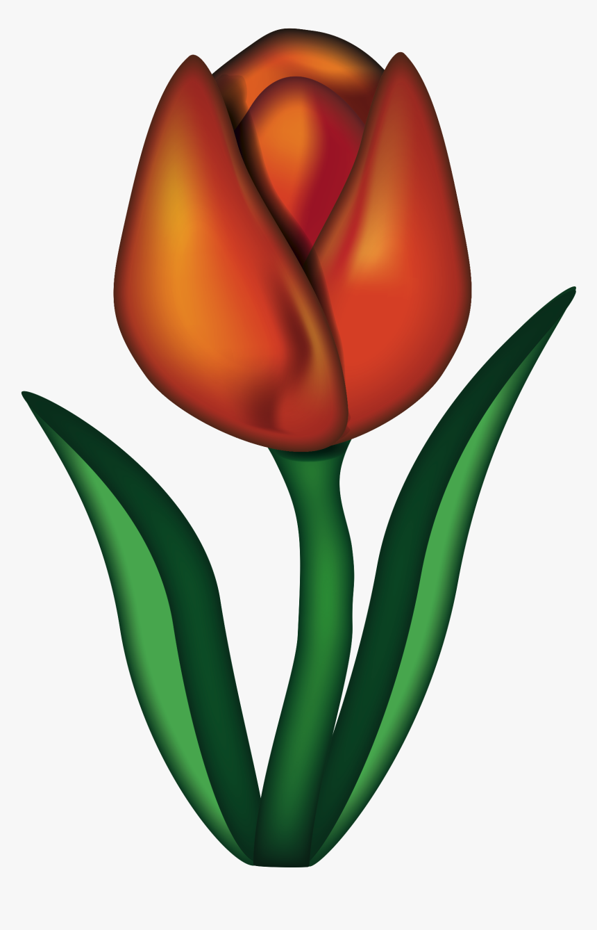 Sprenger's Tulip, HD Png Download, Free Download