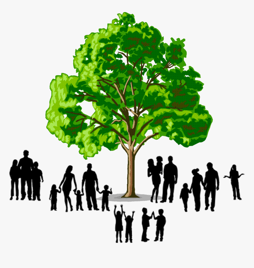 Tree Transparent Family Logo, HD Png Download, Free Download