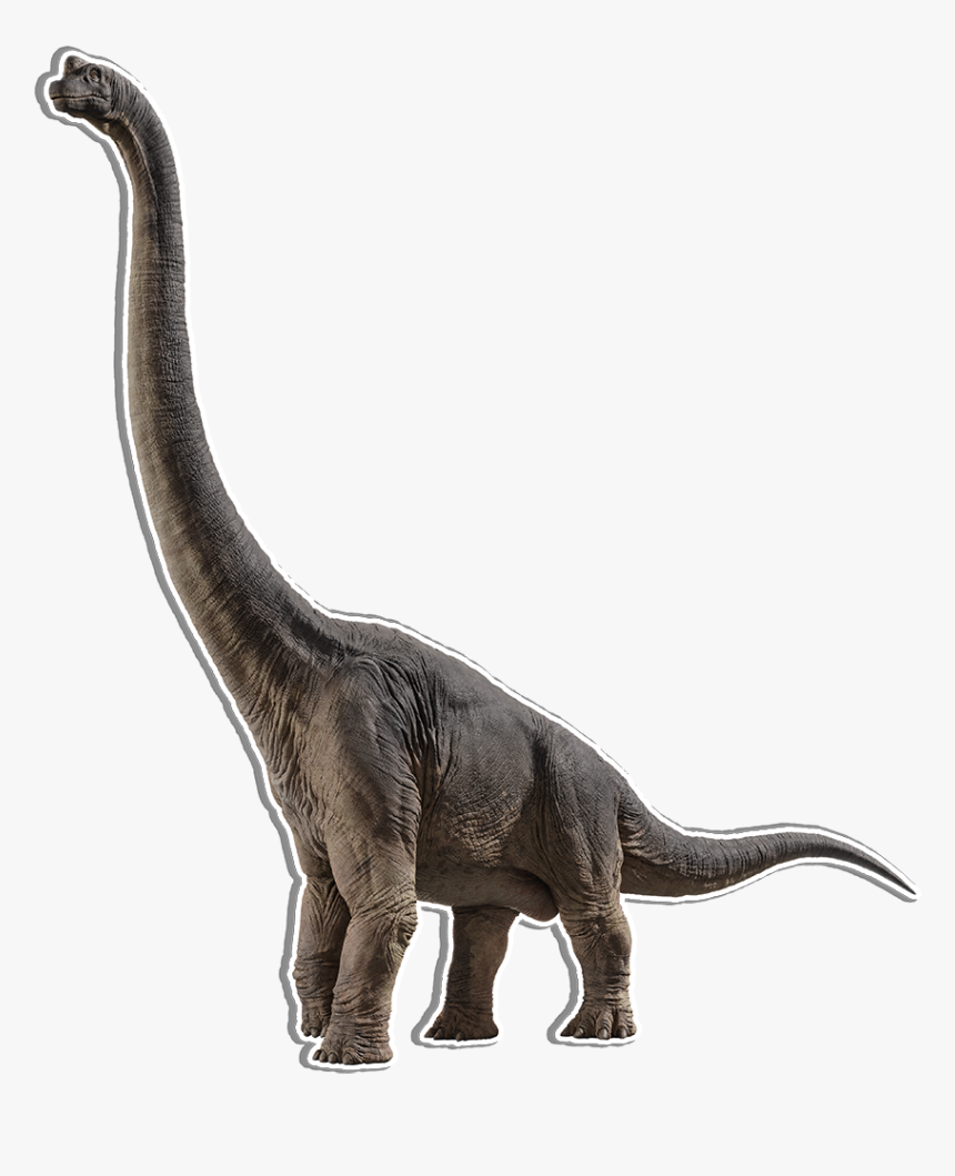 Transparent Velociraptor Clipart - Brachiosaurus From Jurassic World Fallen Kingdom, HD Png Download, Free Download