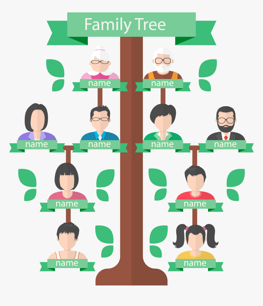 Family Tree Background Png - Family Tree Vector Png, Transparent Png, Free Download