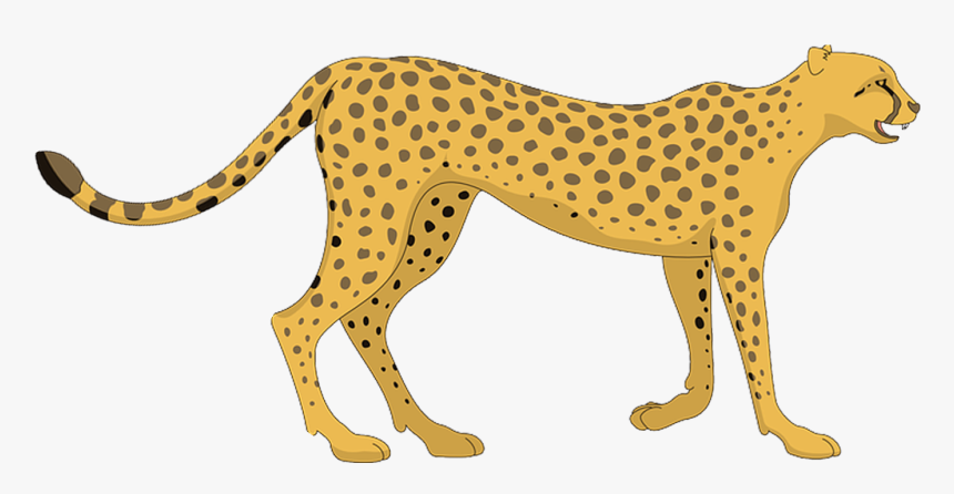 Cheetah Clipart Transparent Background, HD Png Download, Free Download