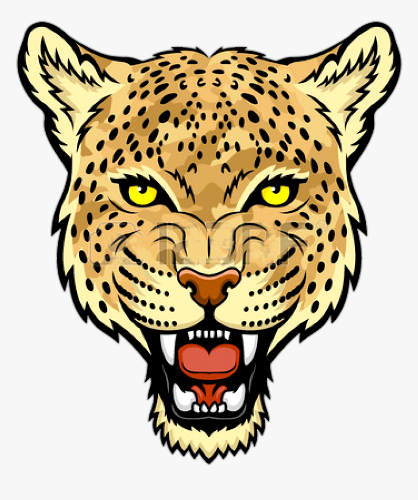 Cats,african To Medium-sized Cats,wild Cat - Leopard Head, HD Png Download, Free Download