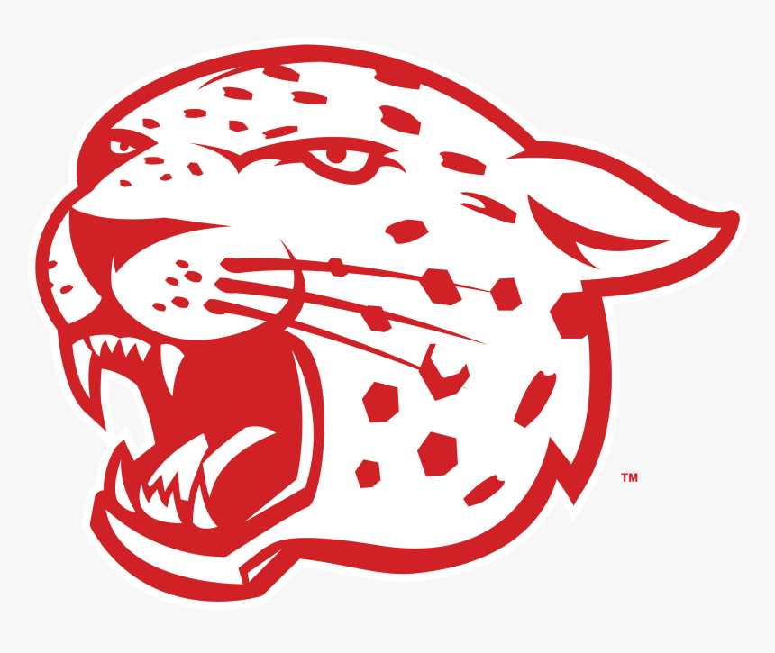 Transparent Cheetah Face Png - Drawing Of Jaguar Easy Face, Png Download, Free Download