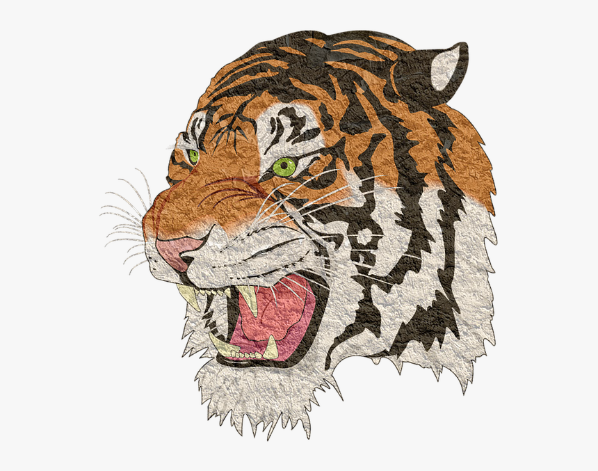 Tiger, Tiger Png, Lion, Animal, Cheetah, Vintage - Arcata High School Logo, Transparent Png, Free Download