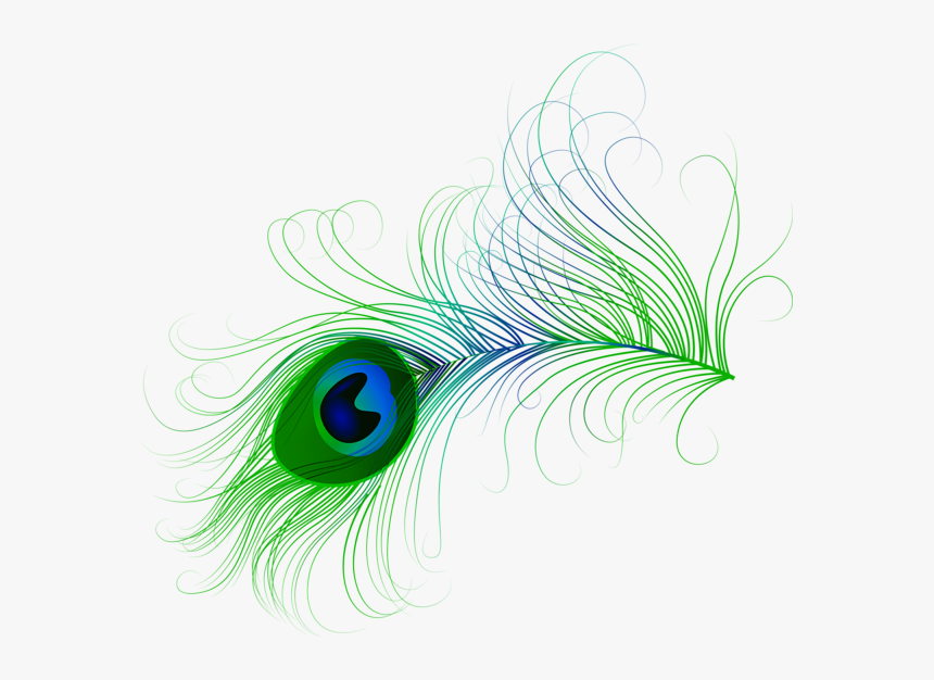 Transparent Tribal Feather Clipart - Peacock Feather Png Vector, Png Download, Free Download