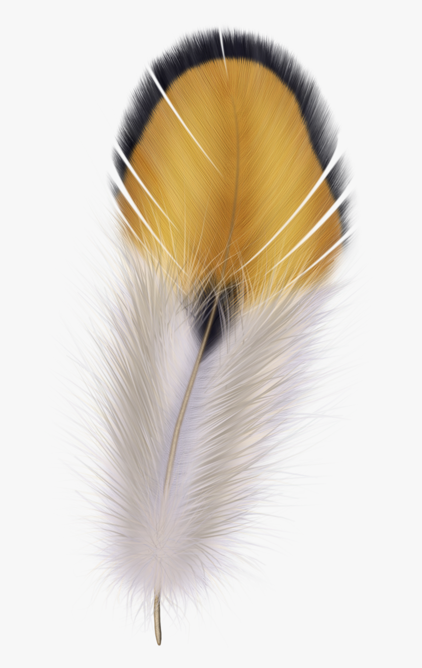 Feather Png Pinterest Illustration And Silk Featherpng - Bird Fur Png, Transparent Png, Free Download