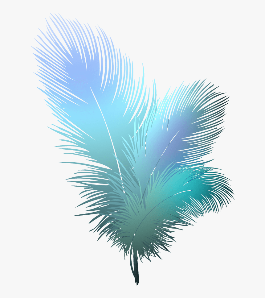 Feathers Clipart Transparent Background - Transparent Background Feather Png, Png Download, Free Download