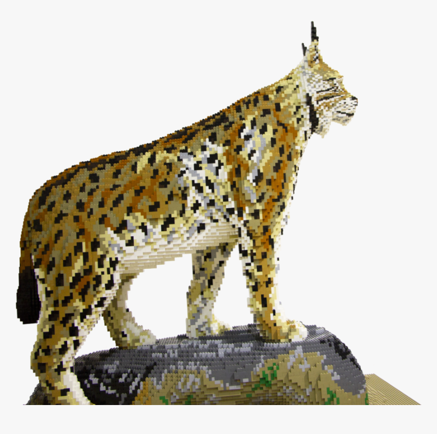 Transparent Caracal Png - Leopard, Png Download, Free Download