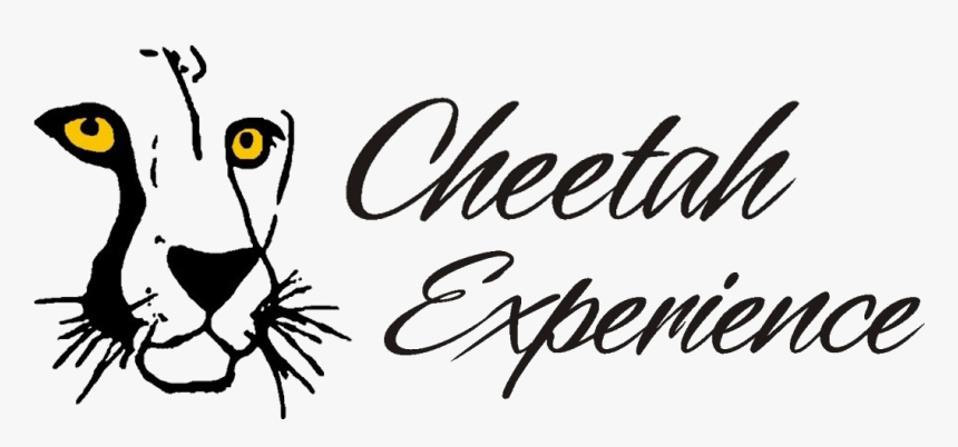 Cheetah, HD Png Download, Free Download