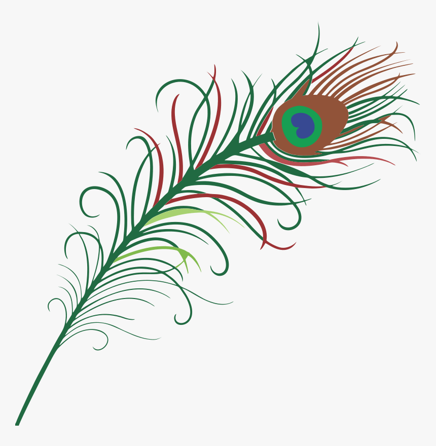 Cute Feather Clipart - Peacock Feather In Png, Transparent Png, Free Download