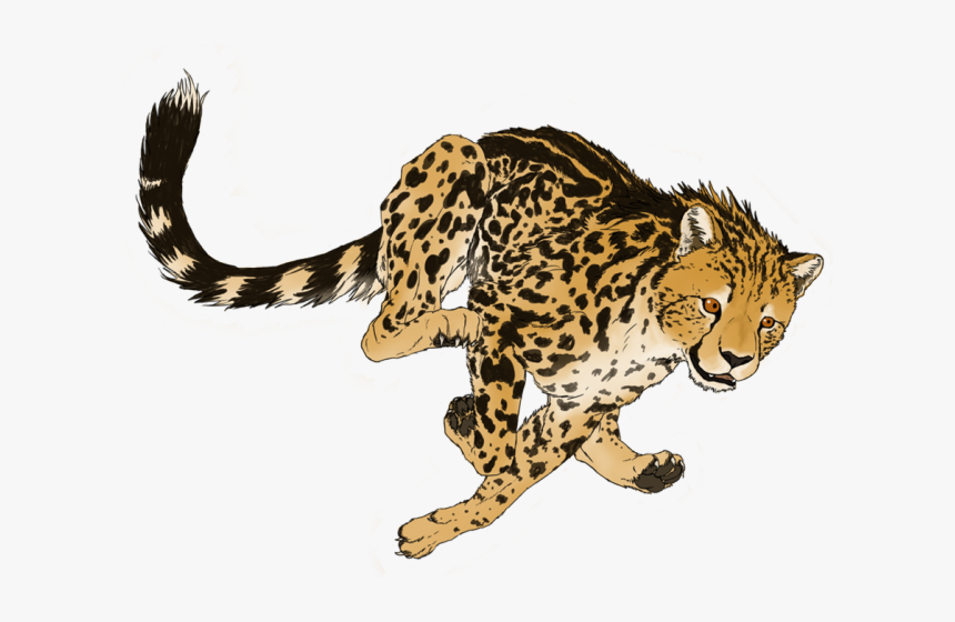 Transparent Running Cheetah Clipart - Draw A King Cheetah, HD Png Download, Free Download