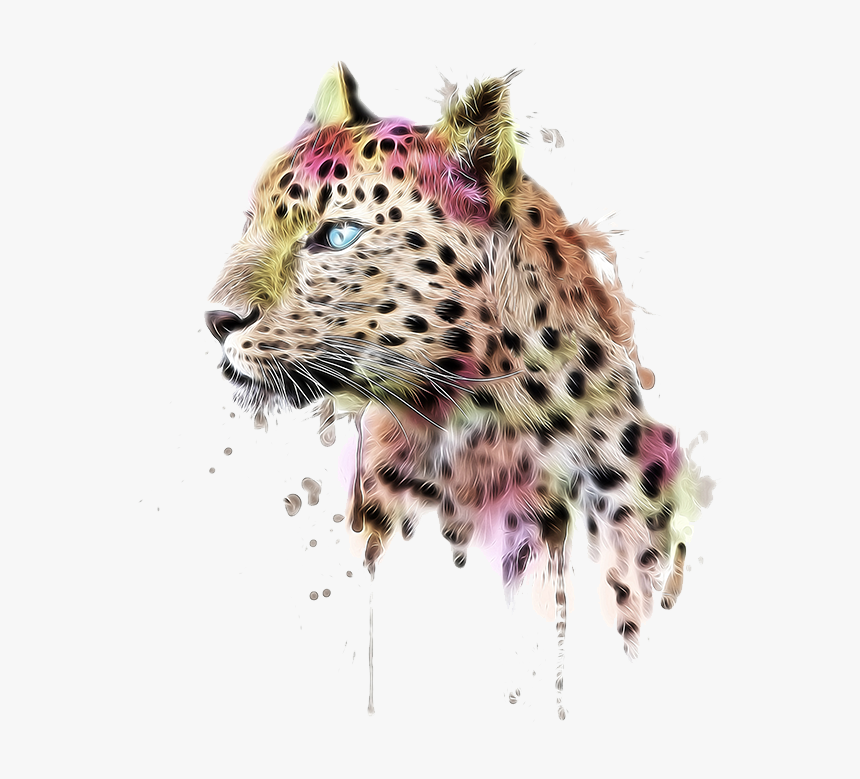 Leopard T Shirt Clothing - Fondo De Chita Png, Transparent Png, Free Download