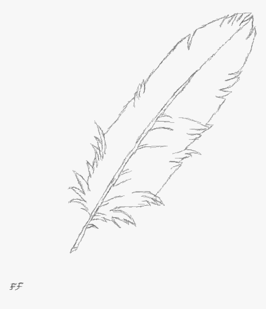 15 Drawing Feather Sketch For Free Download On Mbtskoudsalg - Sketch, HD Png Download, Free Download