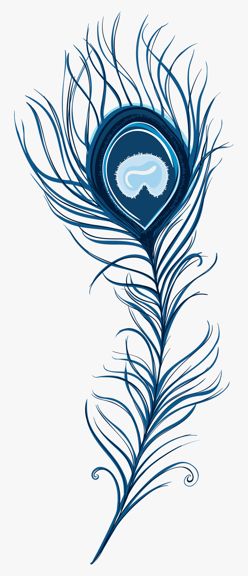 Transparent Feathers Clipart - Peacock Feather Clipart Png, Png Download, Free Download
