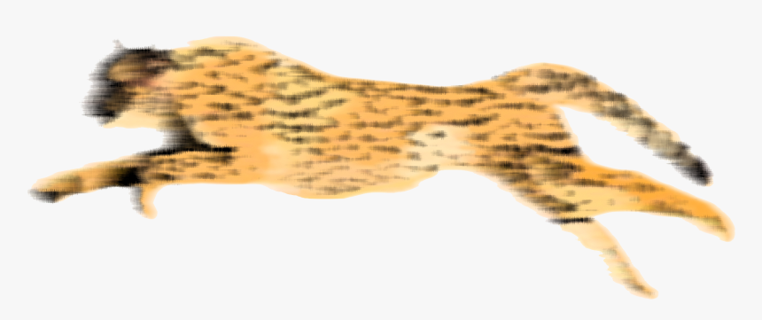 Download Cheetah Png Hd - Cheetah Transparent Running, Png Download, Free Download