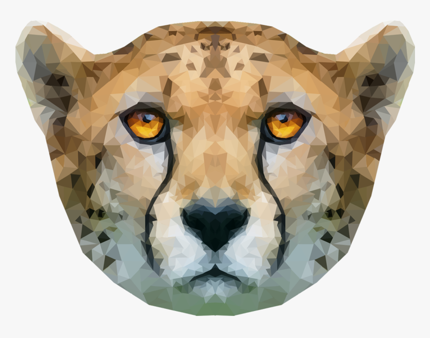 Cheetah Head Png, Transparent Png, Free Download