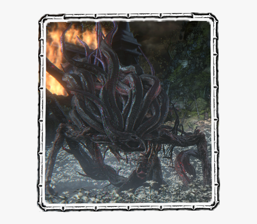 Moon Presence - Moon Presence Bloodborne, HD Png Download, Free Download