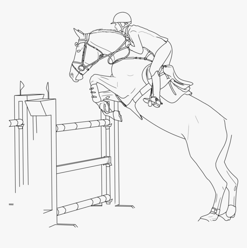 Horse Bridle Show Jumping Equestrian - Horse Show Jumping Drawings, HD Png Download, Free Download