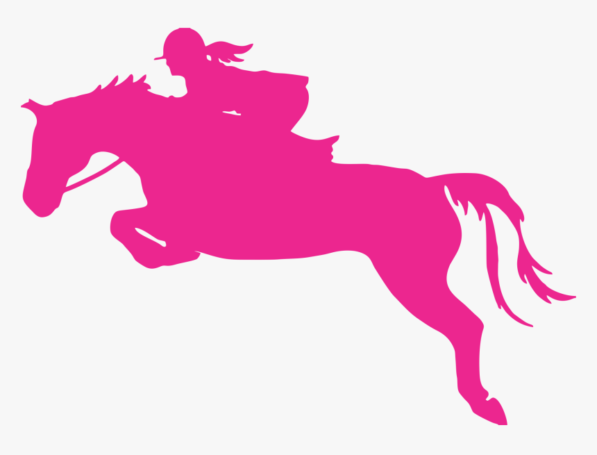 Horse Wall Decal Equestrian Sticker - Hunter Jumper Car Horse Window Decals, HD Png Download, Free Download