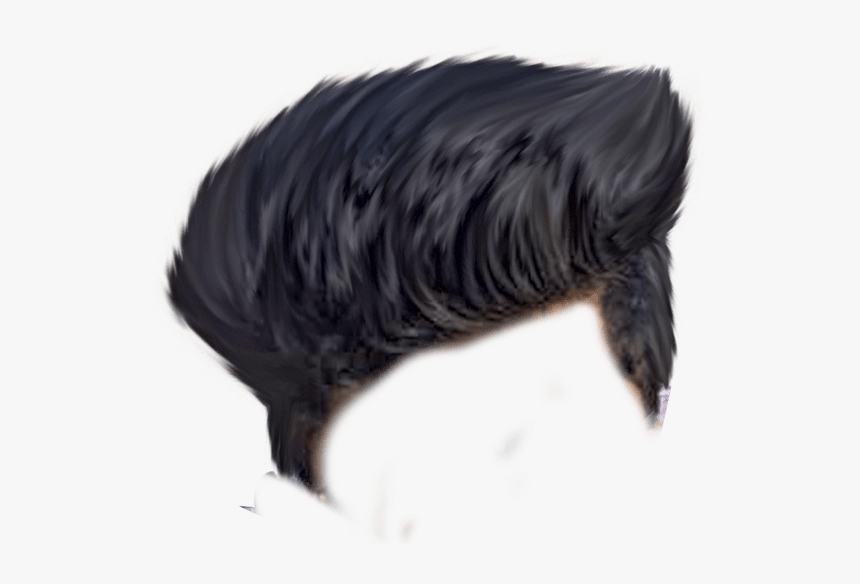 Best Hair Png Hd, Transparent Png, Free Download