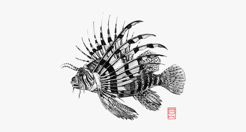 Red Lionfish, HD Png Download, Free Download