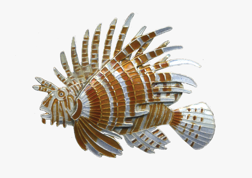 0187pin - Lionfish, HD Png Download, Free Download