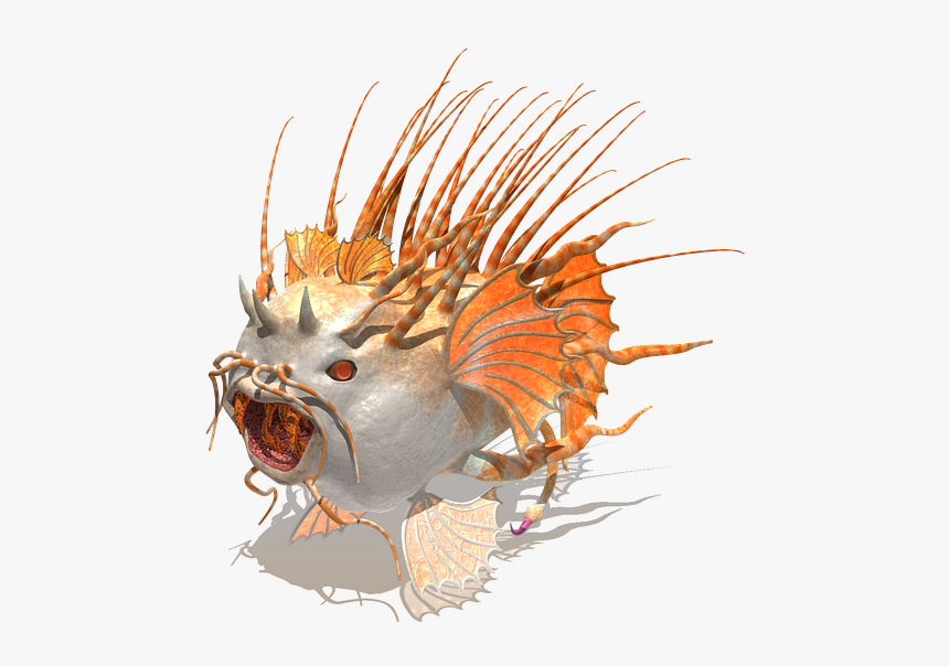 Fish, Creature, Animal, Nature, Meeresbewohner - Meeresbewohner Transparent, HD Png Download, Free Download