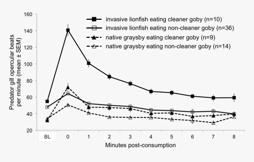3 Predator Gill Opercular Beats Per Minute For Invasive - Plot, HD Png Download, Free Download