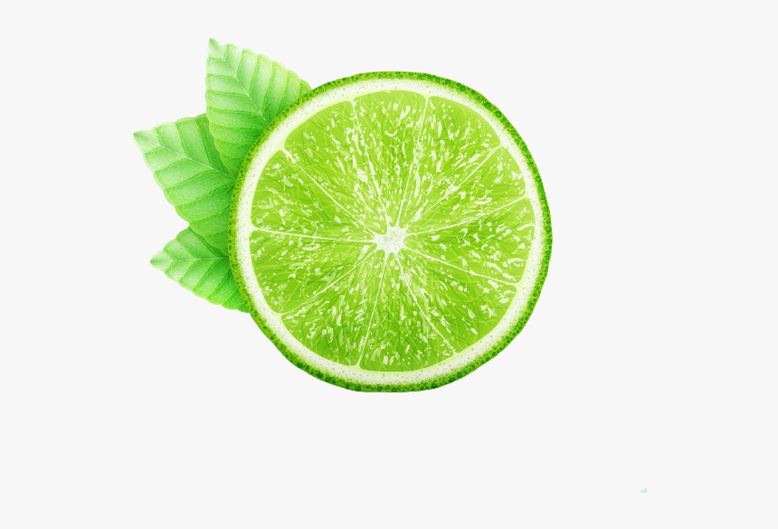 Juice Kaffir Leaves Fresh - Lime And Mint Vector, HD Png Download, Free Download