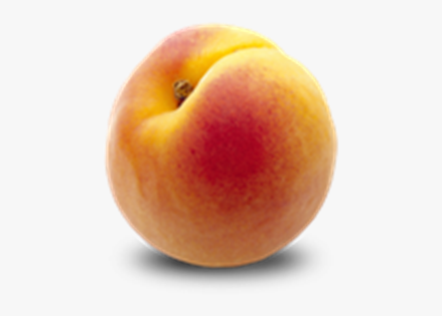 One Apricot, HD Png Download, Free Download