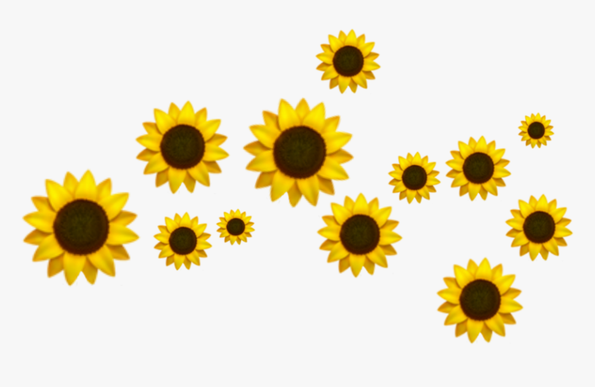 #flower #sunflower #emoji #crown #tumblr #beautiful - Transparent Emoji Crown, HD Png Download, Free Download