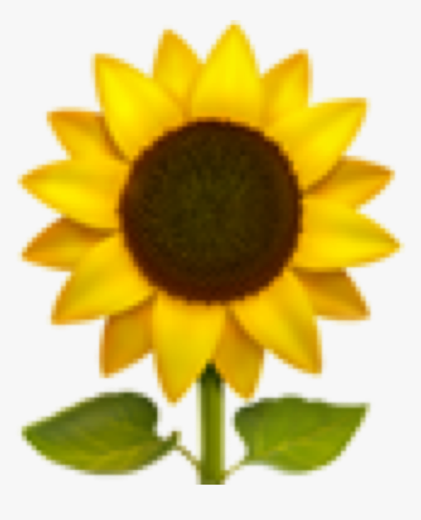 #emoji #iphone #iphoneemoji #emojis #iphoneemojis #sunflower - Sunflower Emoji Png, Transparent Png, Free Download