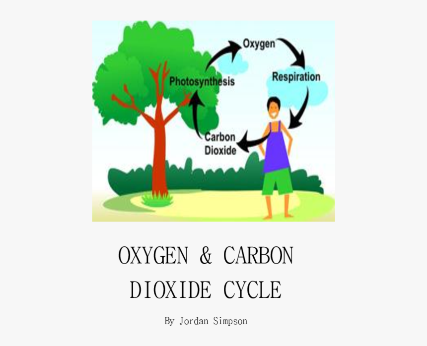 Tree Give Us Oxygen, HD Png Download, Free Download